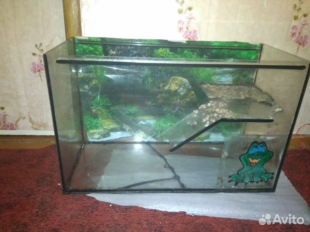 Черепаха с большим аквариумом купить на Зозу.ру - фотография № 4
