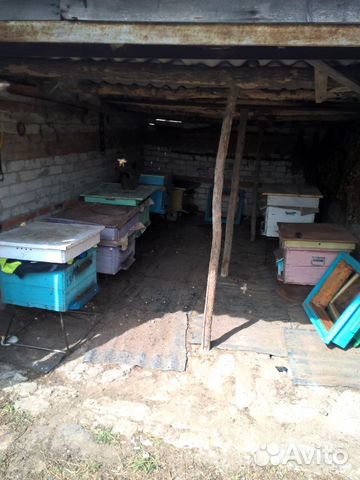 Продам пчел 2е семьи купить на Зозу.ру - фотография № 1