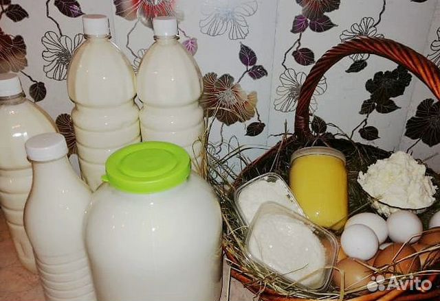 Молоко и молочные продукты