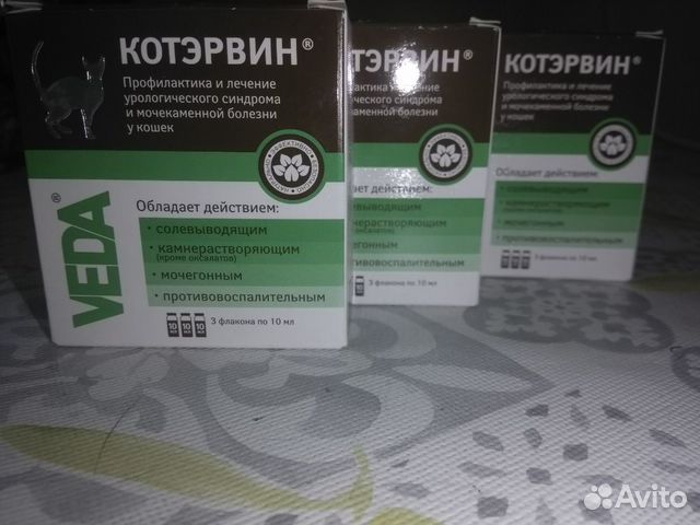 Котэрвин Котэрвин