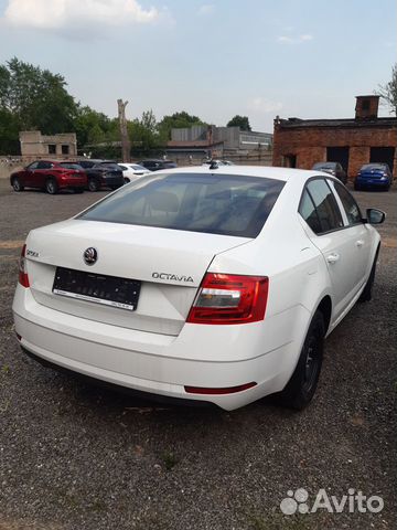 Аренда авто, водитель, такси, skoda octavia 2020 Аренда авто, водитель, такси, skoda octavia 2020