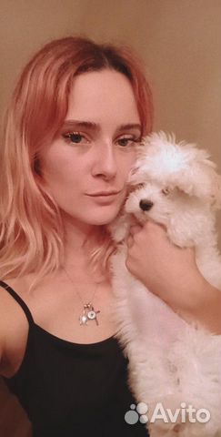 Передержка животных