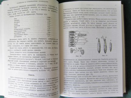 Руководство по хлебопекарному производству. 1912г