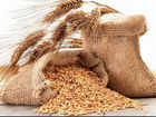 Зерно пшеница объявление продам