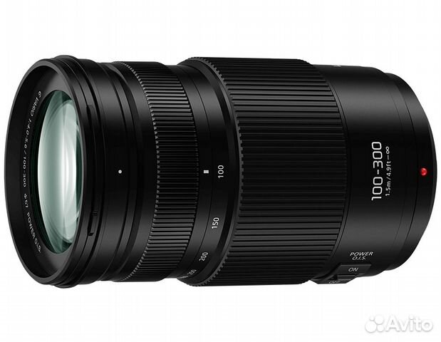 Panasonic Lumix G Vario H-FSA100300 100-300 4-5.6