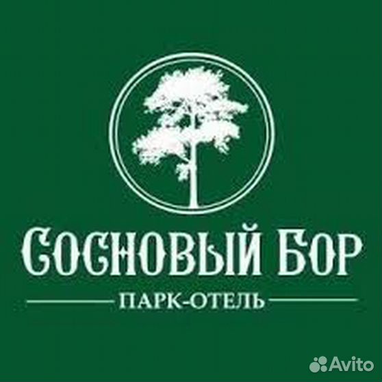 Вакансии бор. Сосновый Бор лого Новосибирск. Сосновый Бор Новосибирск логотип. Сосновый лес логотип. Бор логотип.