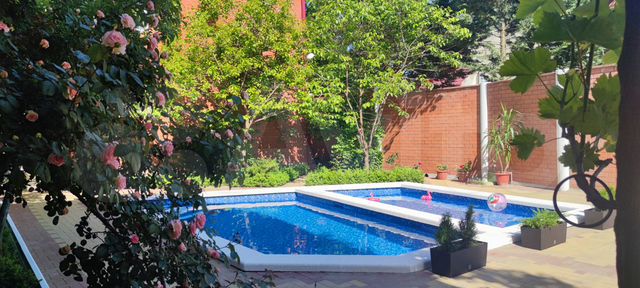 Комната 18 м², 1/3 эт.