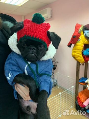 Одежда для собак (Большой выбор)