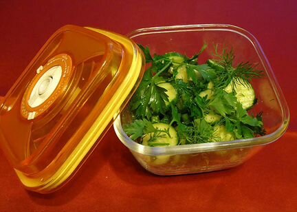 Цептер Стеклянный контейнер vo-011-15