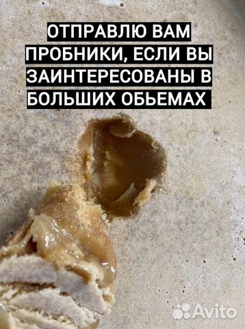 Мед оптом от 500кг