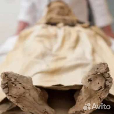 Удаление плесени #клопов, тараканов# Пос. смерти #