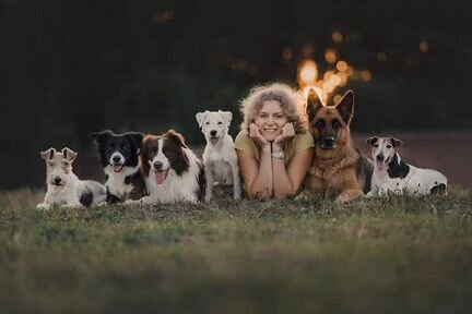 Передержка, дрессировка, ветуслуги, зоотакси