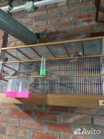 Клетка для птиц