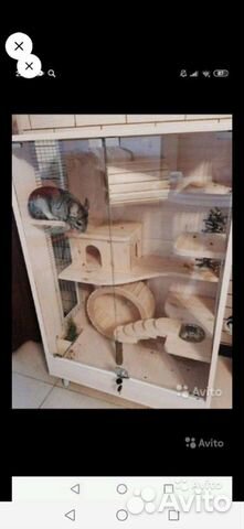 Витрина для домашних грызунов : шиншилл, дегу