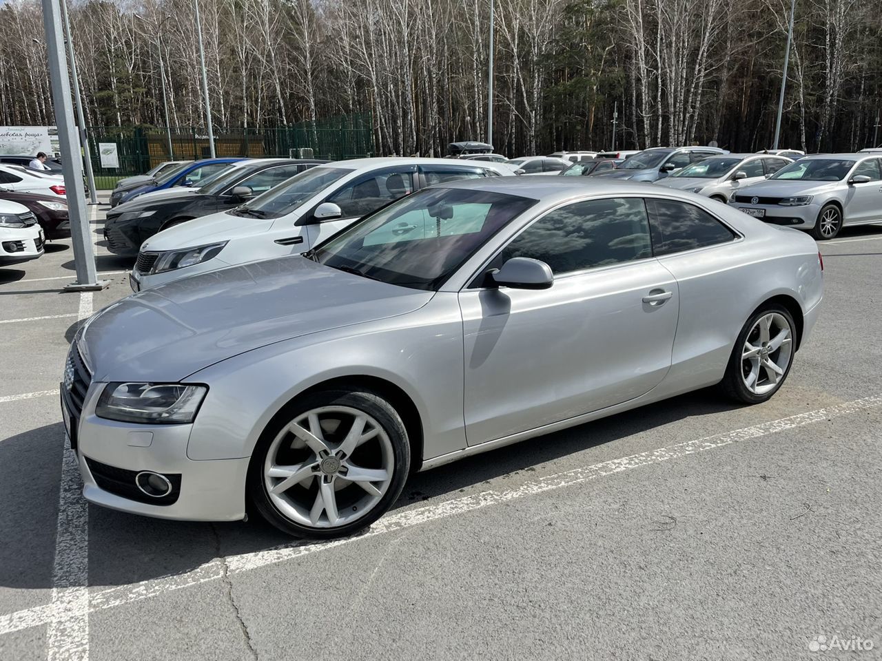 Ауди а5 2010 белая. Серый цвет ауди. Audi s5 coupe 2010. Ауди s5 2010. 0 cvt, 2010.