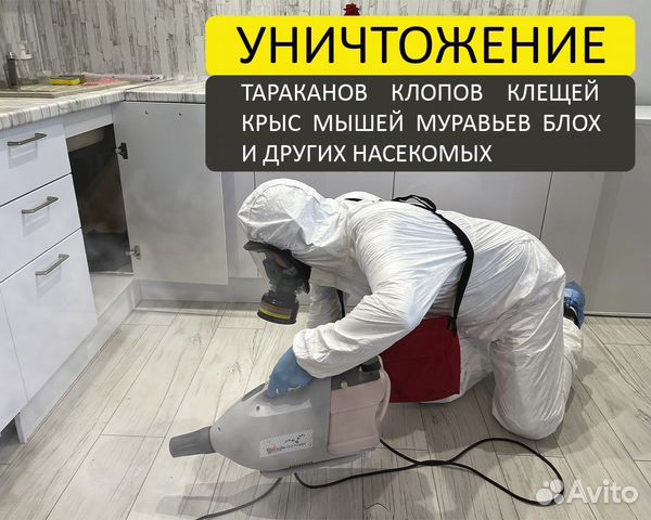 Уничтожение клопов, тараканов, мышей