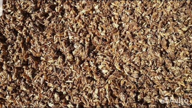 Барда пивная