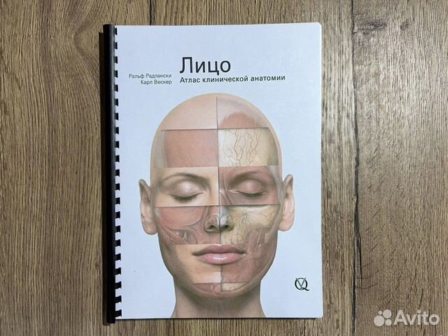 Лицо. Атлас клинической анатомии