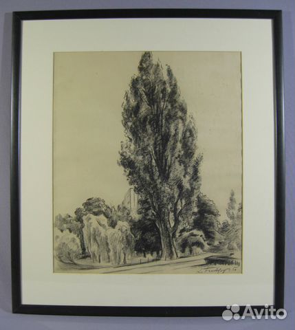Фрешкоп Леонид Старый тополь бумага уголь 1950 год