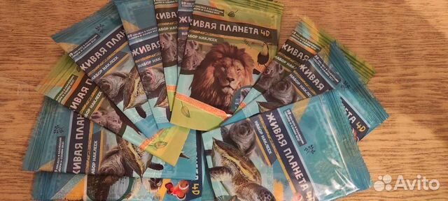 Живая планета 4 D