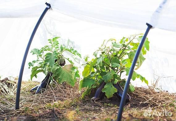 Отличный парник 4ре метра с доставкой