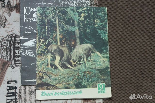 Юный натуралист, атласы, книги по искусству