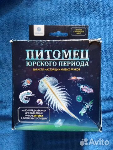 Набор для выращивания рачков Artemia
