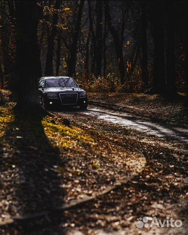 Audi A8 3.1 CVT, 2006, 200 000 км