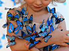 Детская миниферма тропических бабочек Принцесса объявление продам