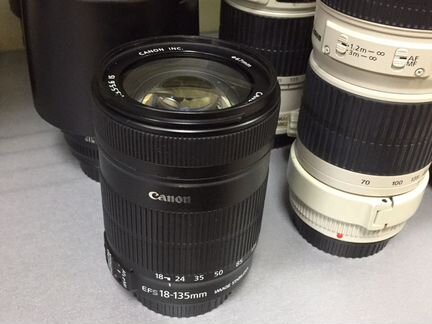 Canon EF-S 18-135mm f/3.5-5.6 IS