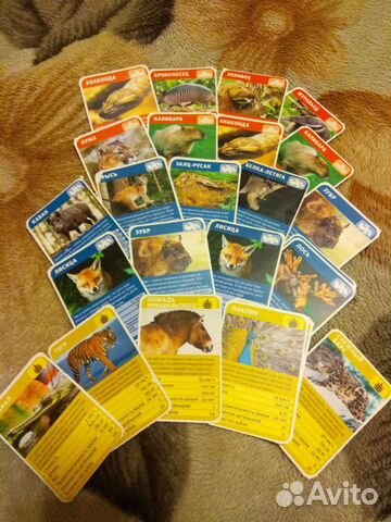 Карточки про животных
