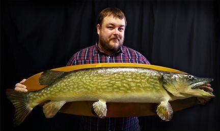 Чучела рыб подарок рыбаку