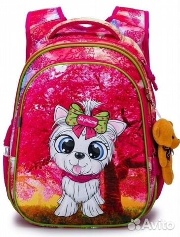 Портфель (рюкзак) школьный новый SkyName