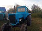 Трактор МТЗ (Беларус) 82, 1989 объявление продам