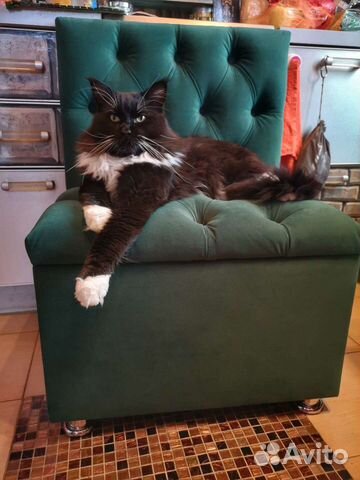 Мейн-кун вязка