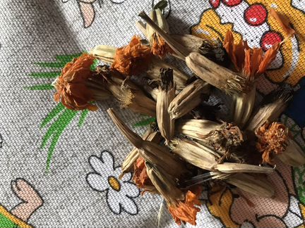 Семена бархатцев