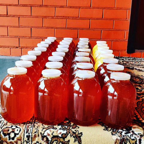 Мёд(Мед) оптом