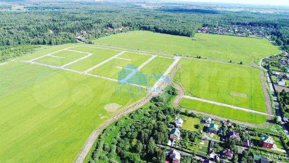 Plot 12.5 cells. (SNT, DNP)