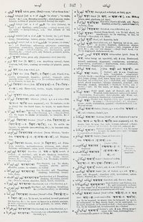 Урду-хинди-английский словарь (комплект из 2 книг)