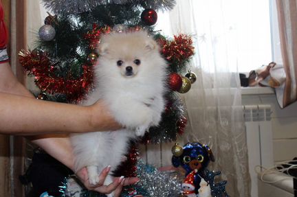 Игрушка на подушку