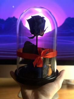 Вечная роза в колбе