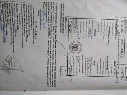 Онлайн уроки иврита с носителем языка