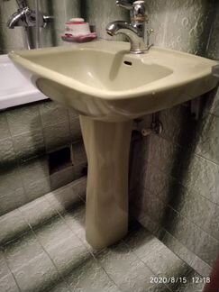 Раковина тюльпан