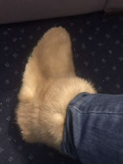 Угги норковые