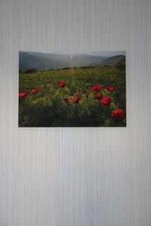 Фотокартина на холсте 