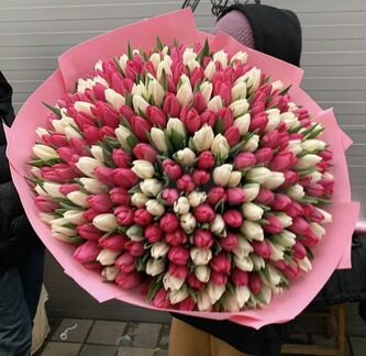 Тюльпаны опт 19 25 49 101 201 Цветы Букеты
