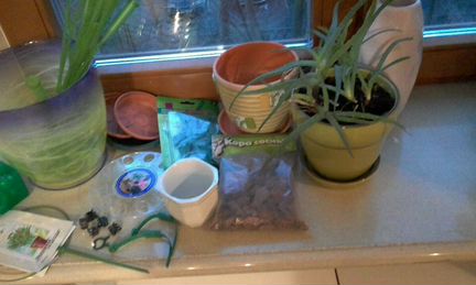 Цветы комн. Алоэ Горшки Кашпо Фиксаторы и др