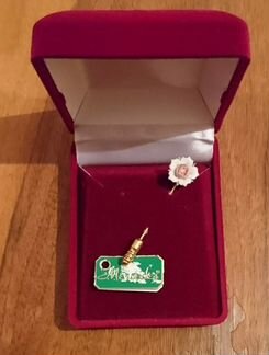 Булавка брошь игла женская