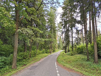 Участок 12.5 сот. (ИЖС)