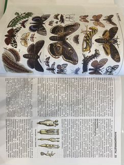 Книга Биология школьная энциклопедия